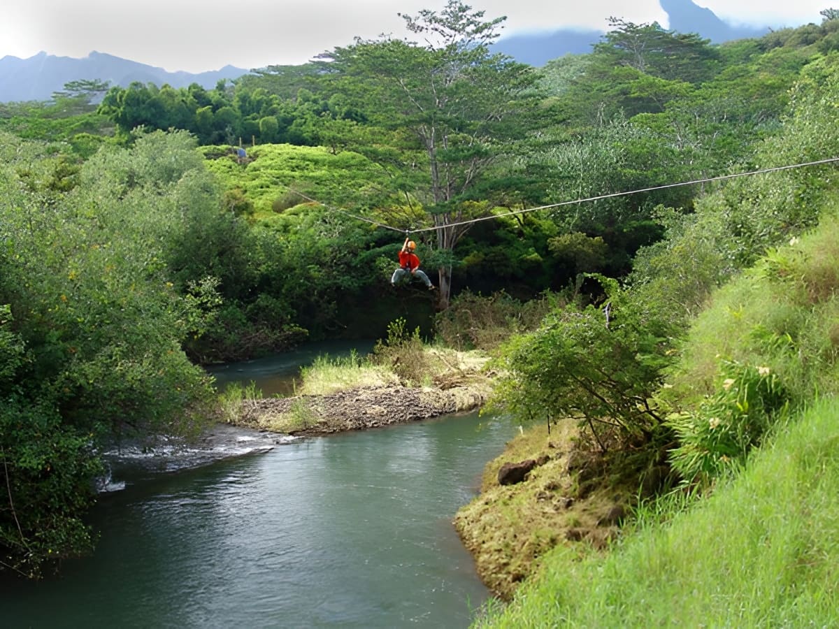 Kauai Backcountry Adventures Zipline Tour